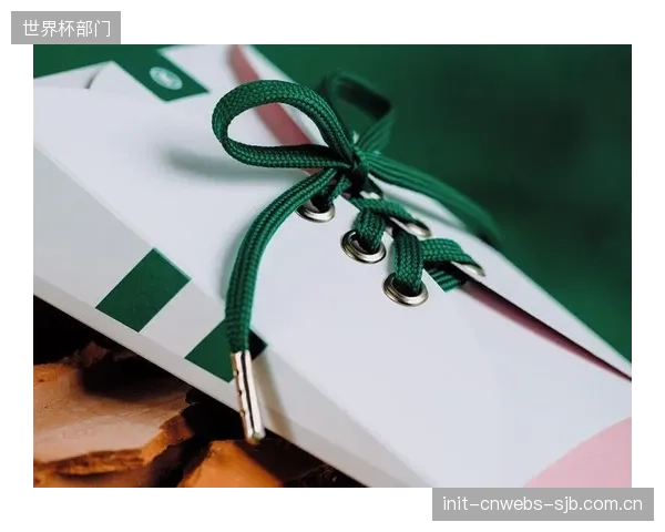 部分品牌仅仅在鞋带或包装上使用再生材料，却以此标榜整条产品线的“可持续”，这种营销捷径正在稀释循环经济的真实价值